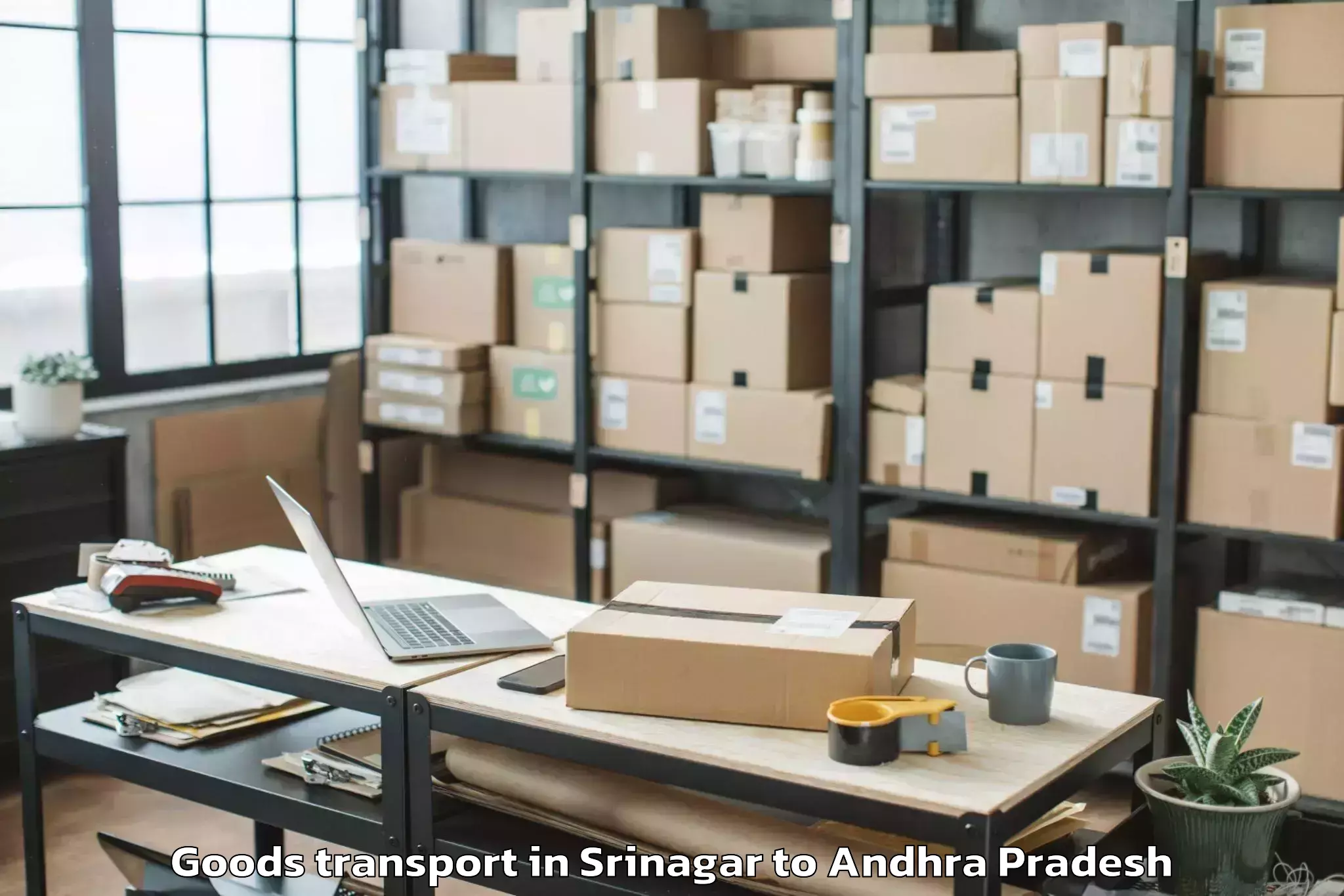 Top Srinagar to Nit Andhra Pradesh Goods Transport Available